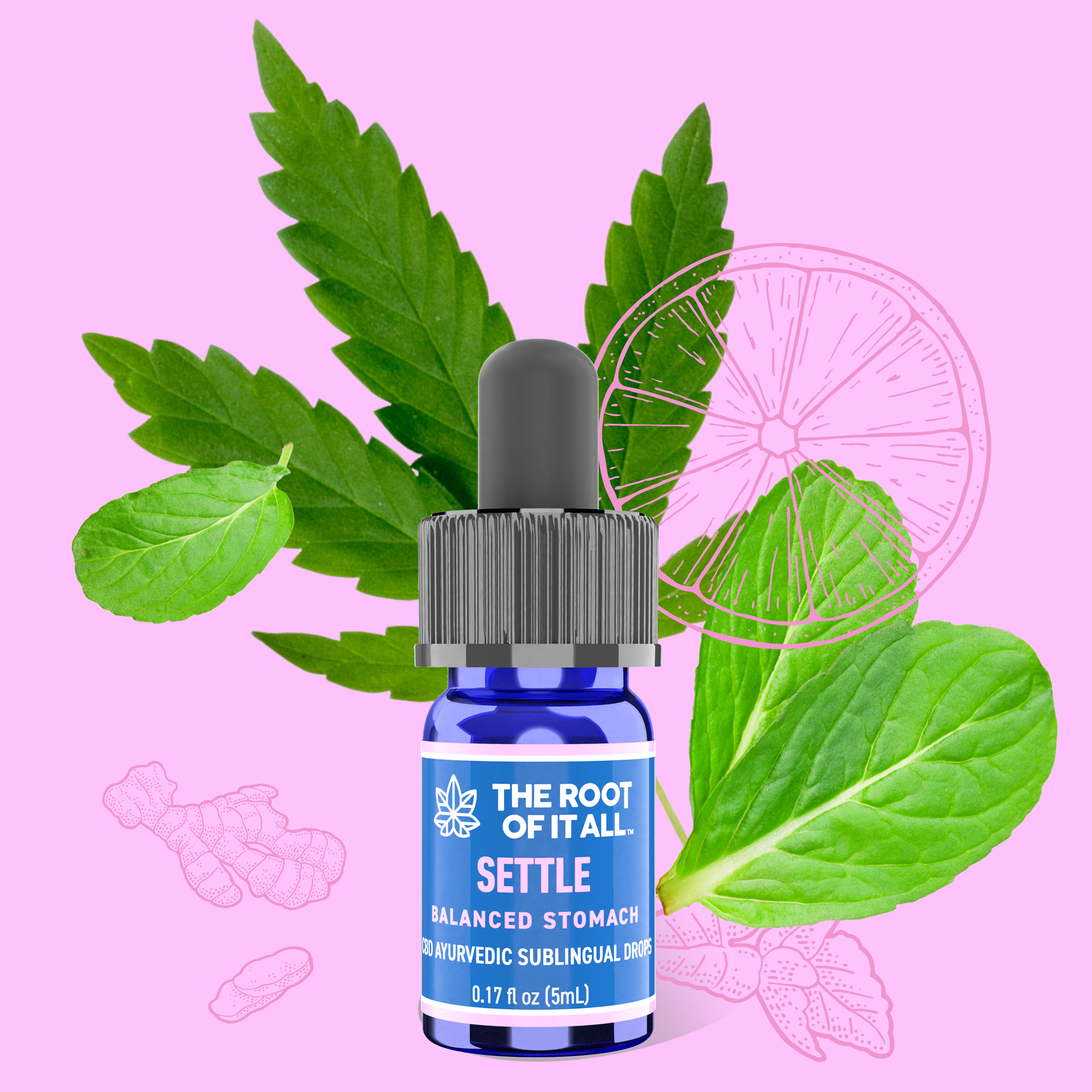 SETTLE - BALANCED STOMACH